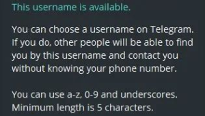 Telegram好用吗？全方位剖析这款通信软件的优缺点