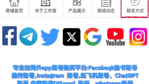 TG账号购买批发网15：便捷渠道，满足多样需求